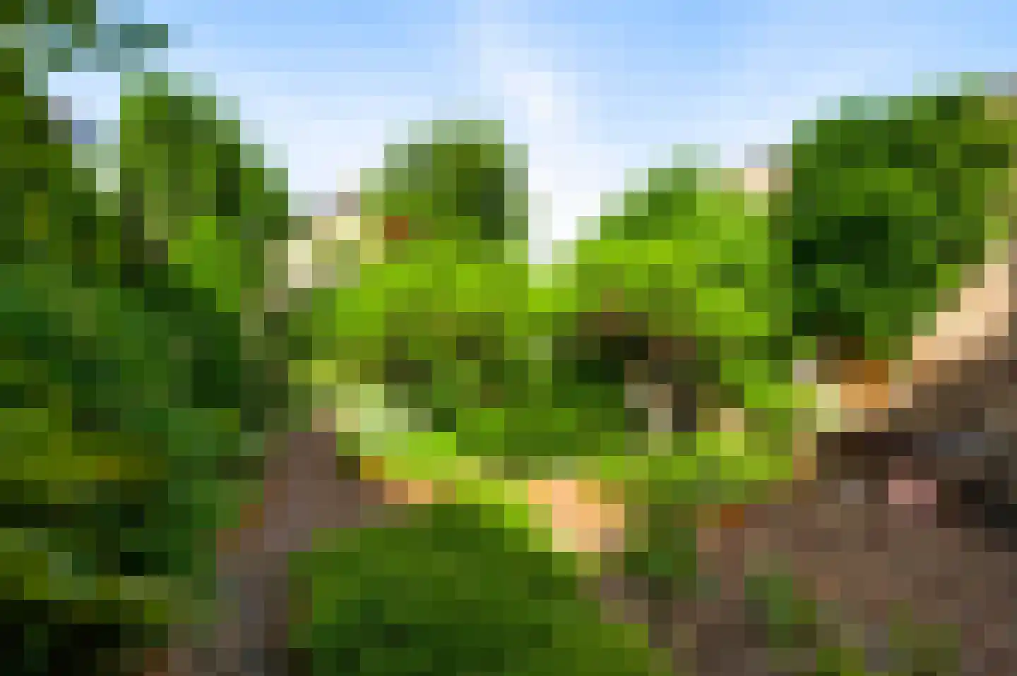 Julianastraat 15 Heel thumbnail 20