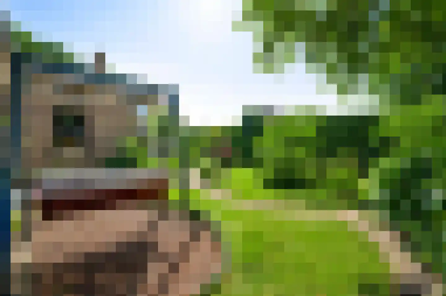Julianastraat 15 Heel thumbnail 21