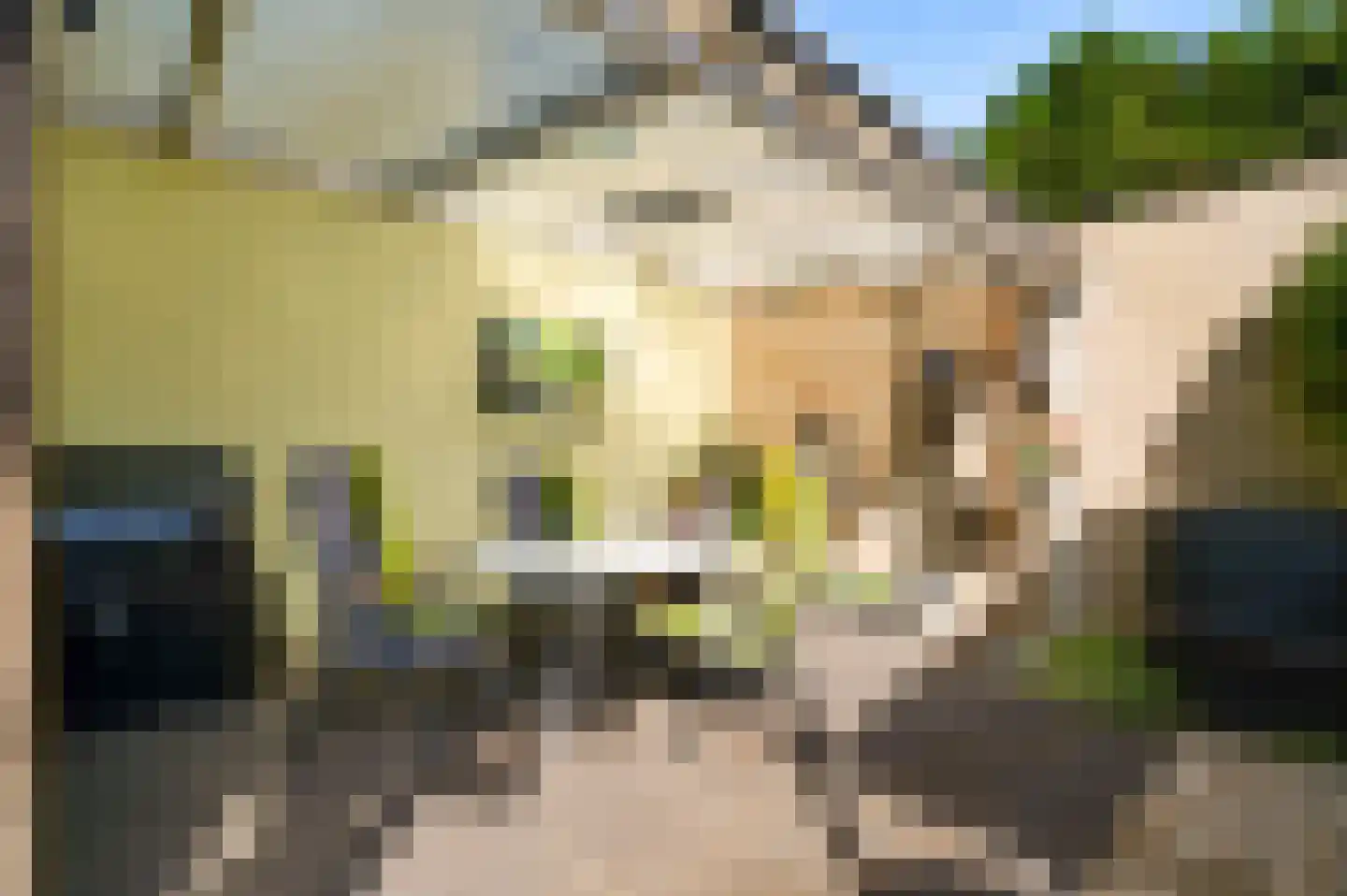 Julianastraat 15 Heel thumbnail 23