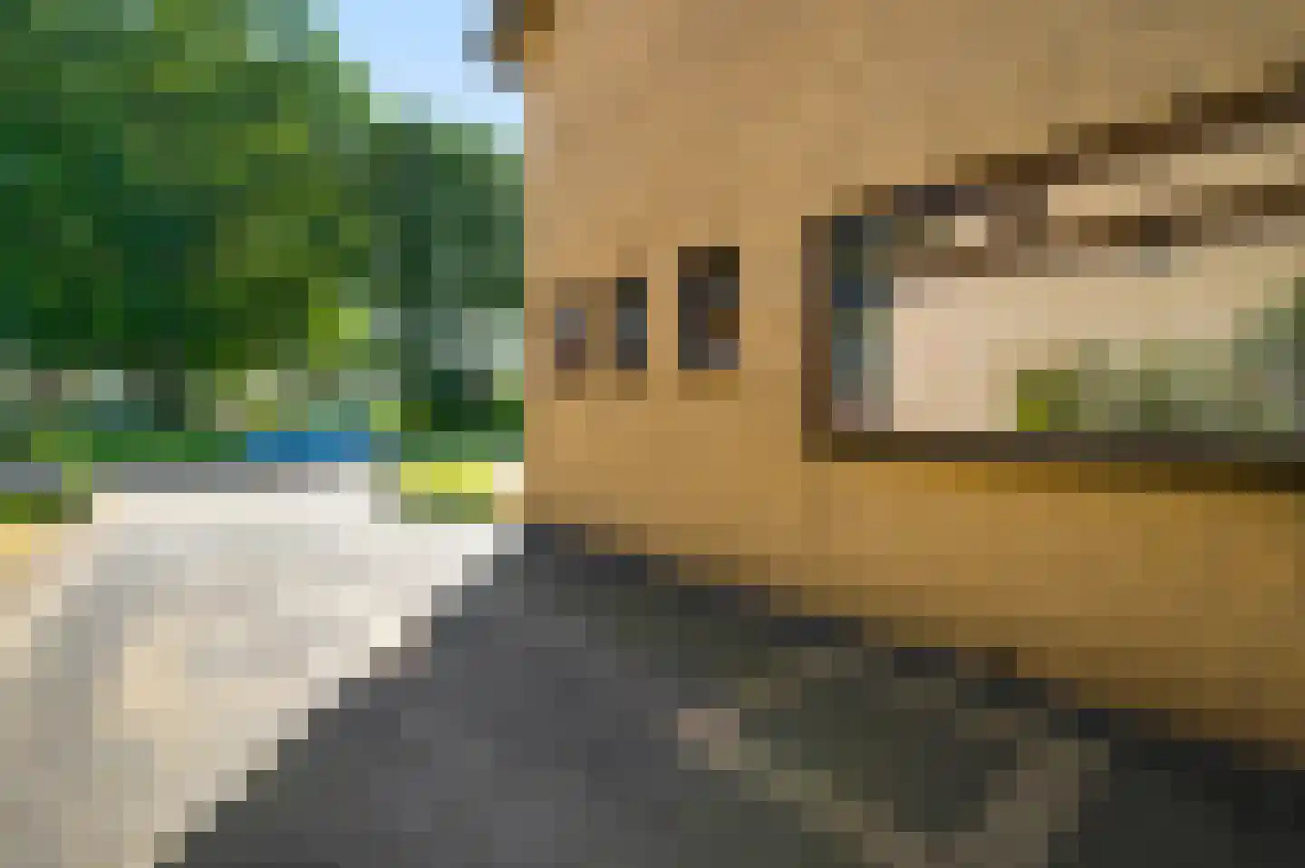 Julianastraat 15 Heel thumbnail 4