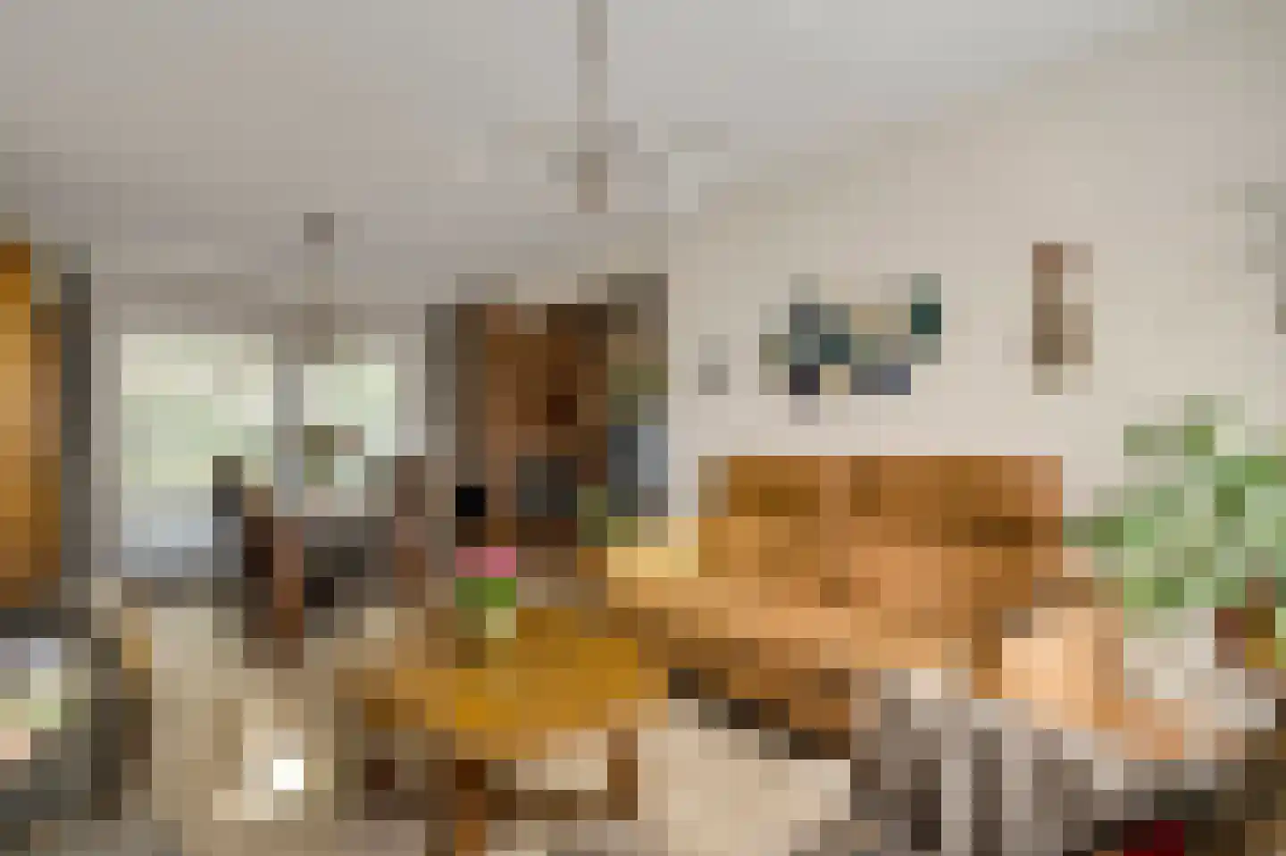 Julianastraat 15 Heel thumbnail 7