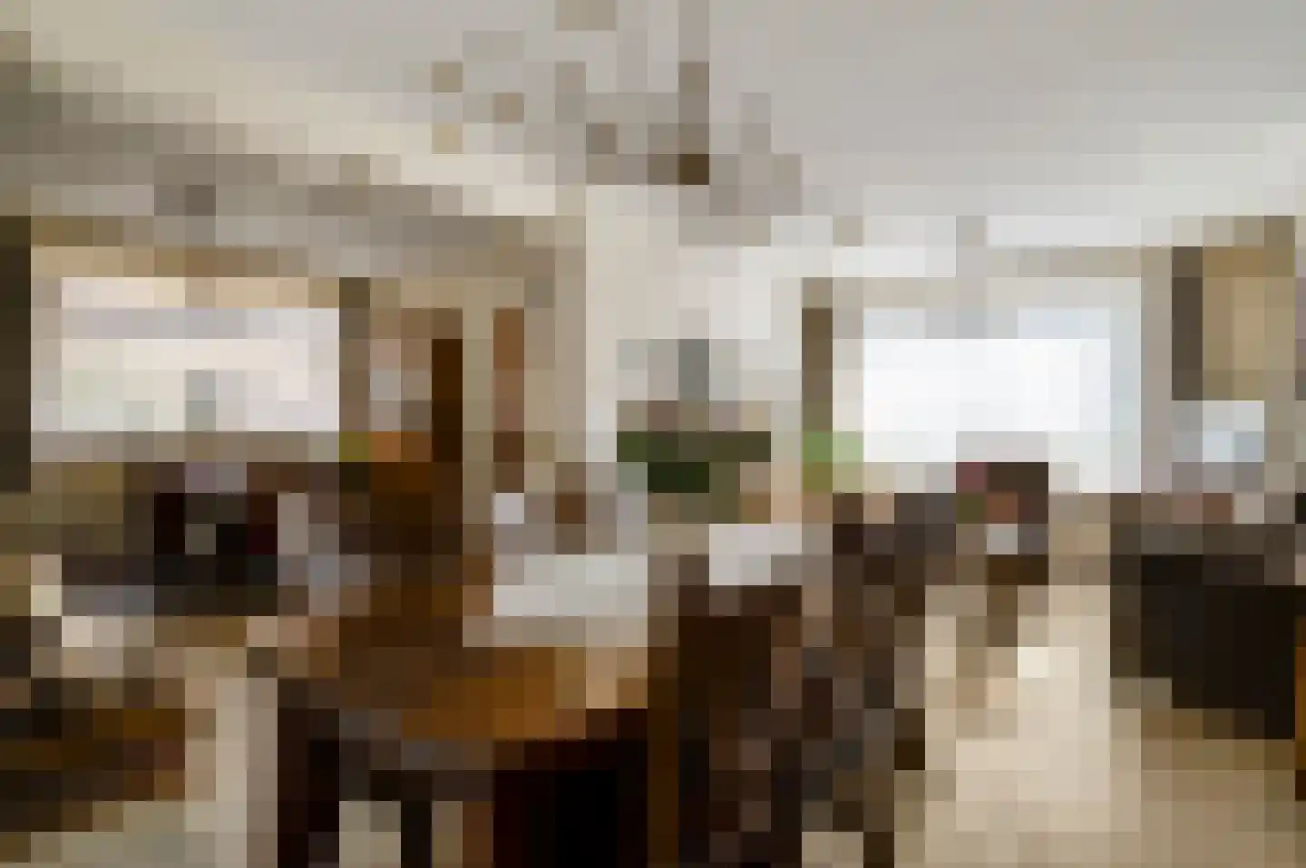 Julianastraat 15 Heel thumbnail 8