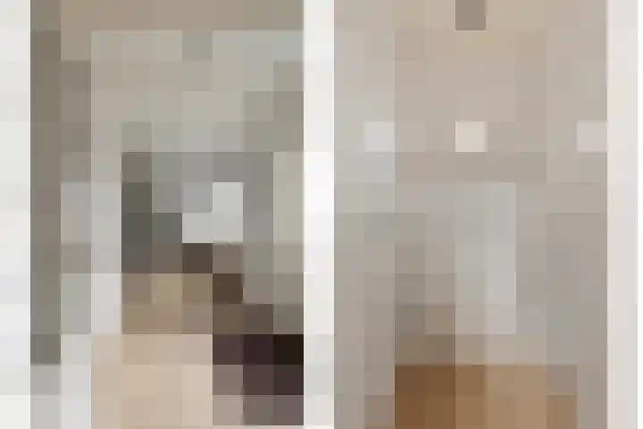 Julianastraat 15 Heeswijk-Dinther thumbnail 17