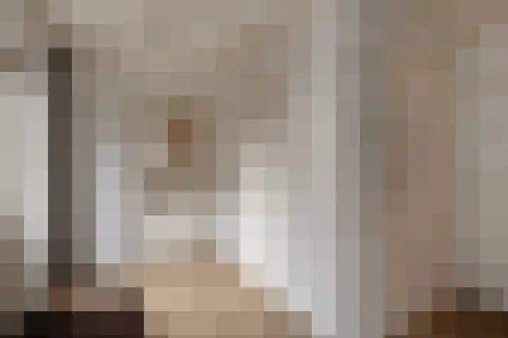 Julianastraat 15 Heeswijk-Dinther thumbnail 18