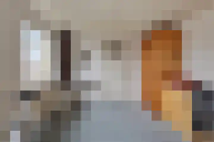 Julianastraat 15 Heeswijk-Dinther thumbnail 24