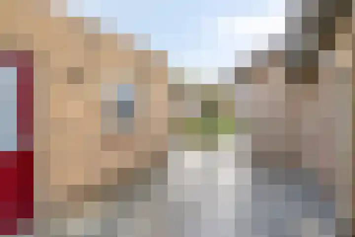 Julianastraat 15 Heeswijk-Dinther thumbnail 30