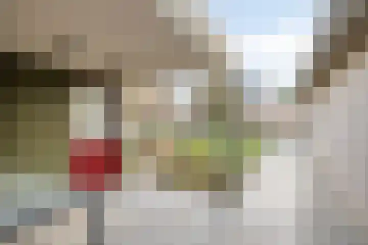 Julianastraat 15 Heeswijk-Dinther thumbnail 31