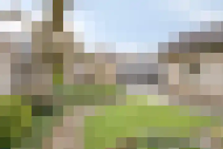 Julianastraat 15 Heeswijk-Dinther thumbnail 32