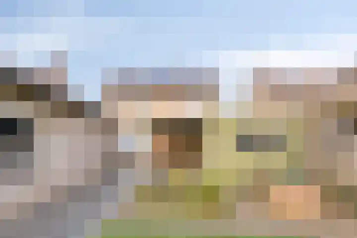 Julianastraat 15 Heeswijk-Dinther thumbnail 34