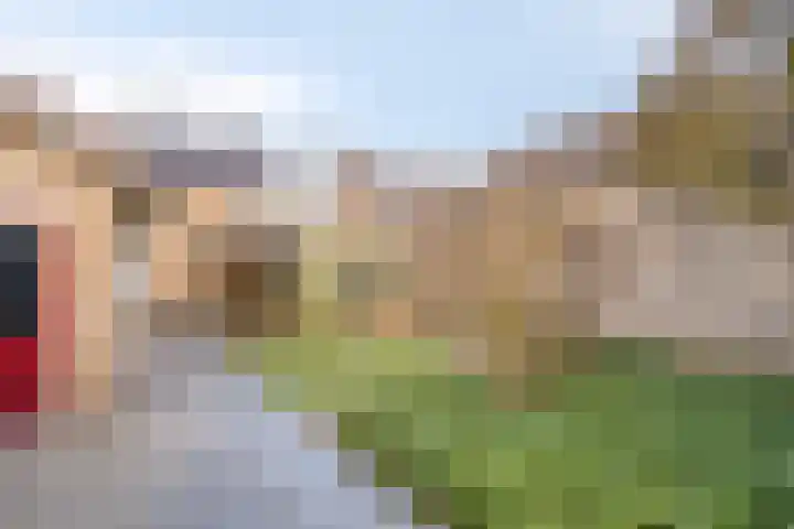 Julianastraat 15 Heeswijk-Dinther thumbnail 35
