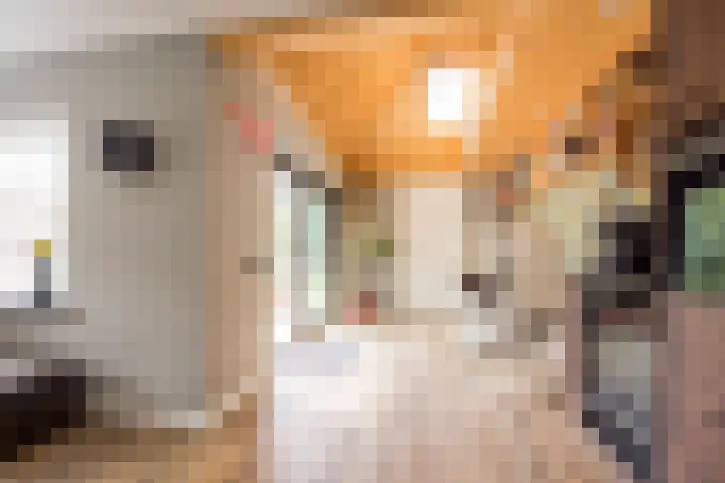 Julianastraat 15 Nijkerk thumbnail 11