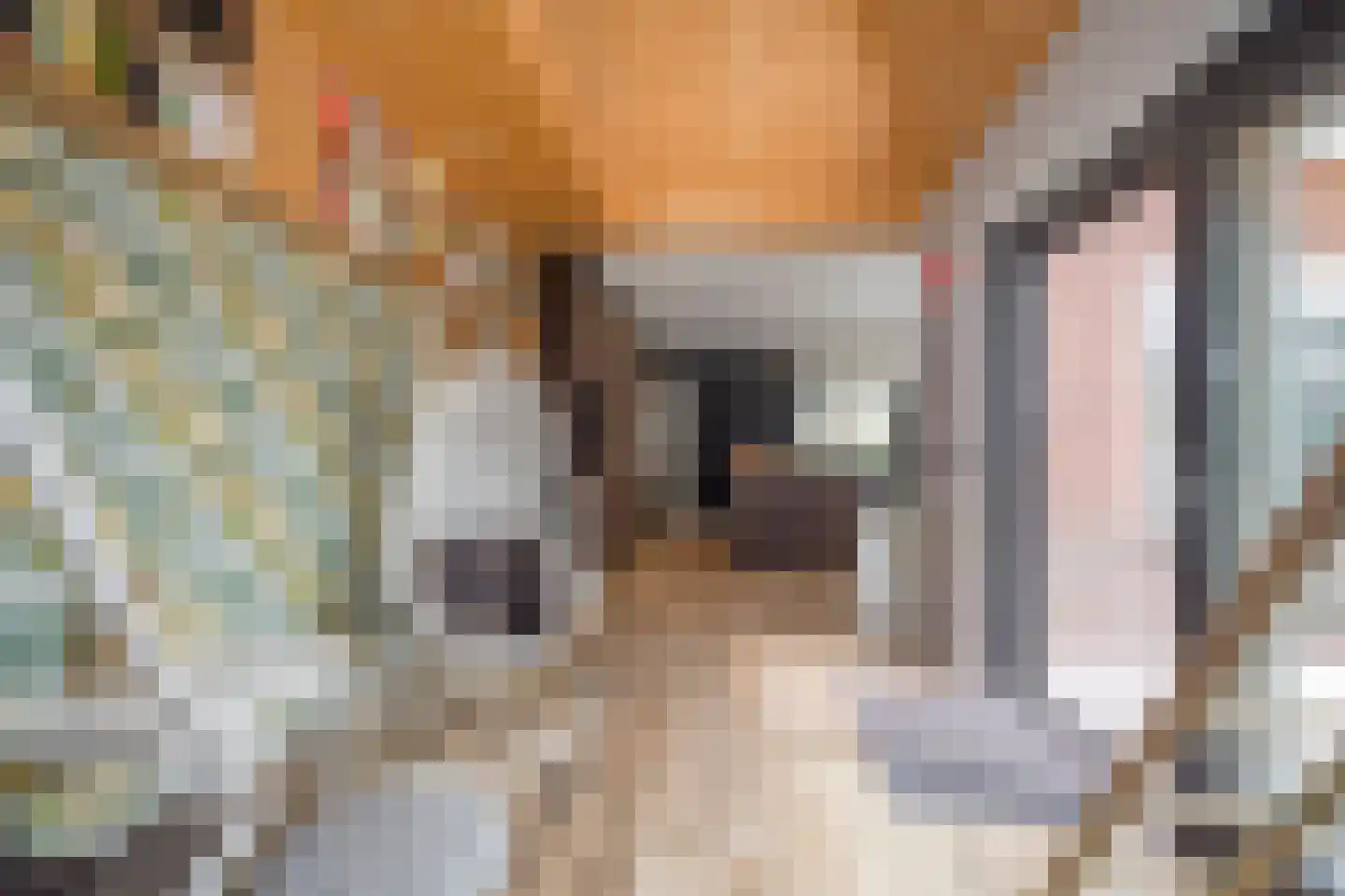 Julianastraat 15 Nijkerk thumbnail 12