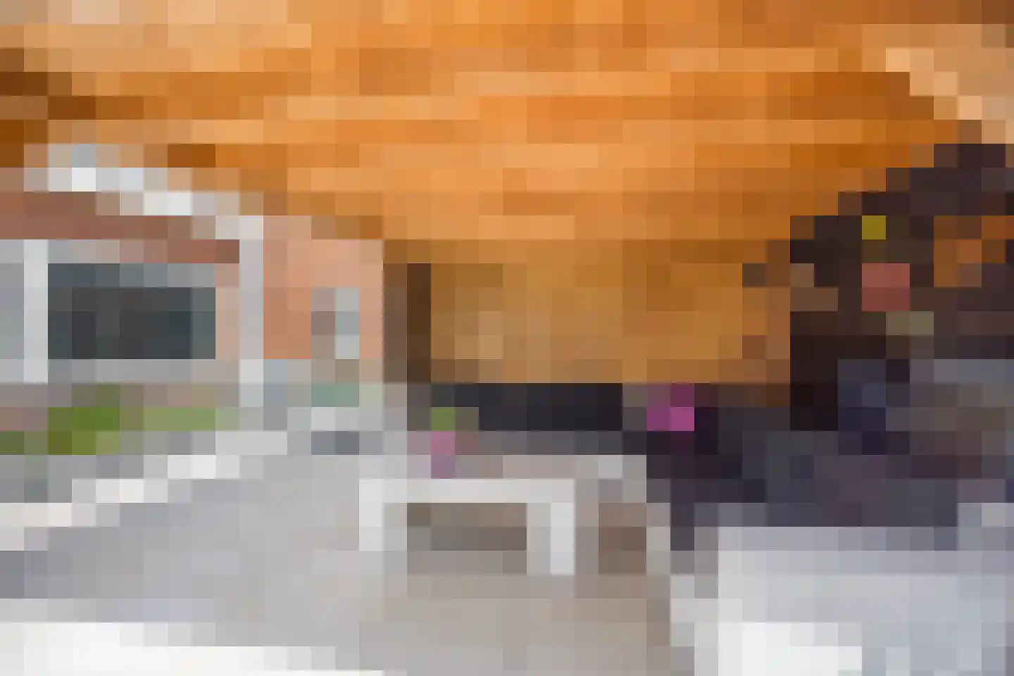 Julianastraat 15 Nijkerk thumbnail 37