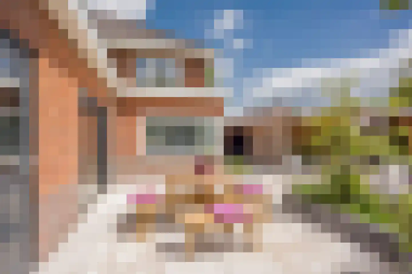 Julianastraat 15 Nijkerk thumbnail 38