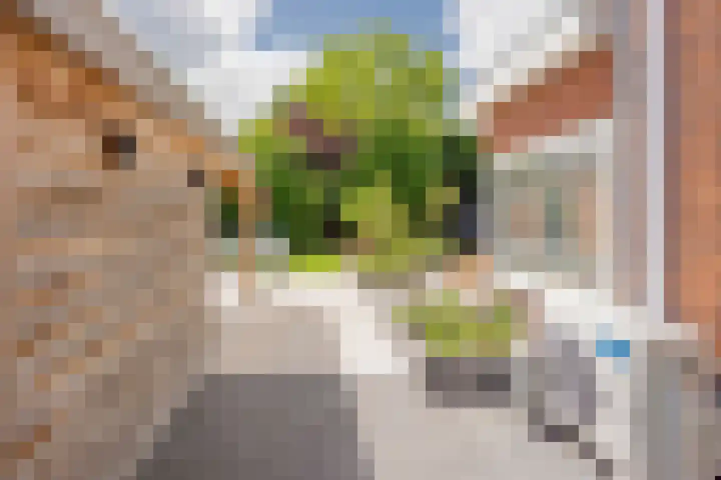 Julianastraat 15 Nijkerk thumbnail 39