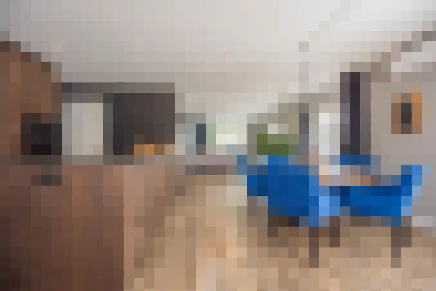 Julianastraat 15 Nijkerk thumbnail 7