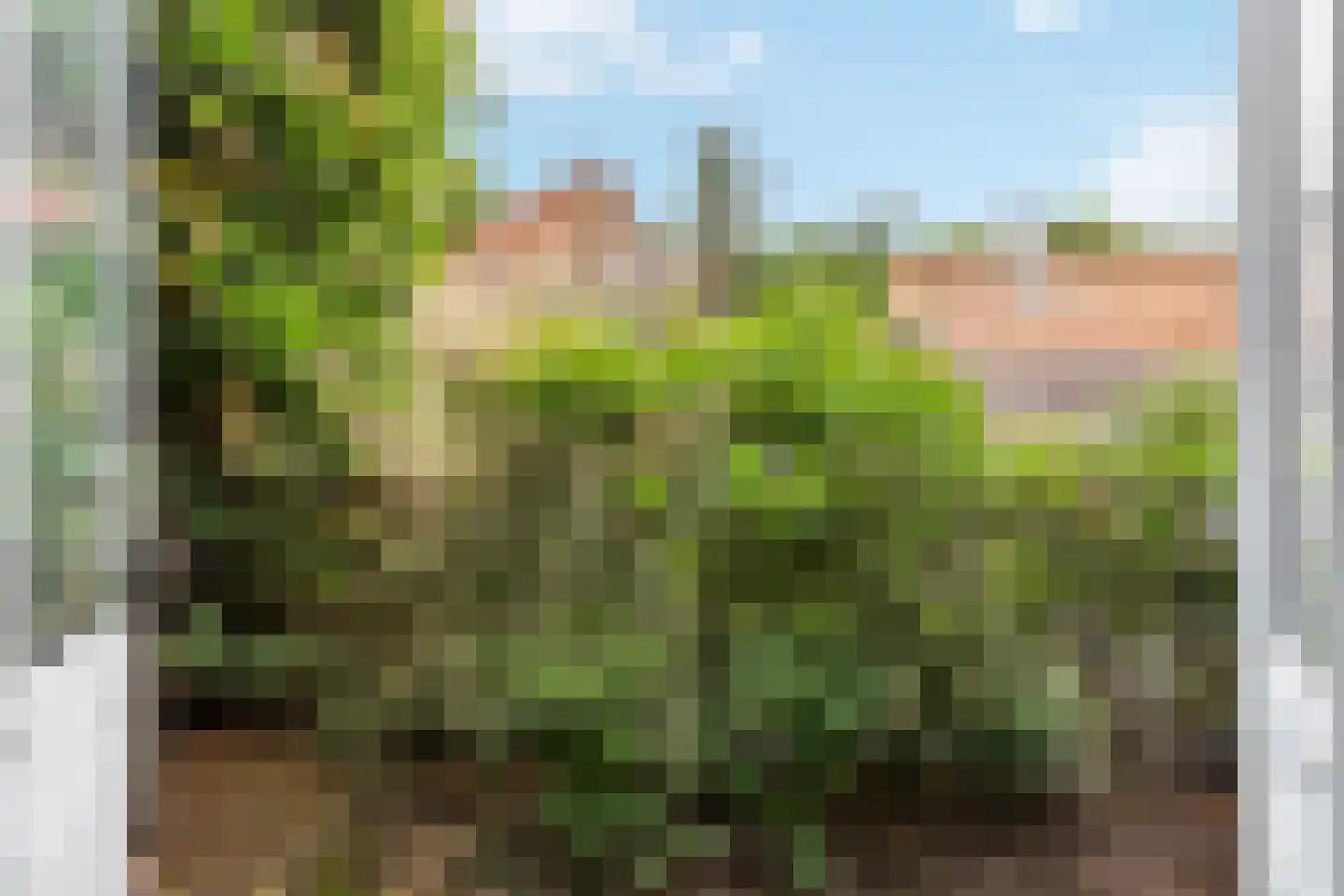 Julianastraat 15 Rijswijk thumbnail 19