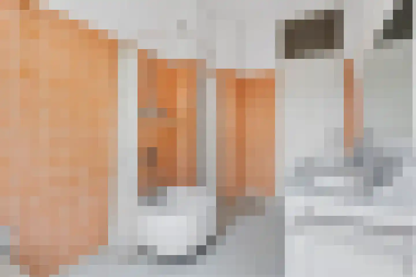Julianastraat 15 Rijswijk thumbnail 22