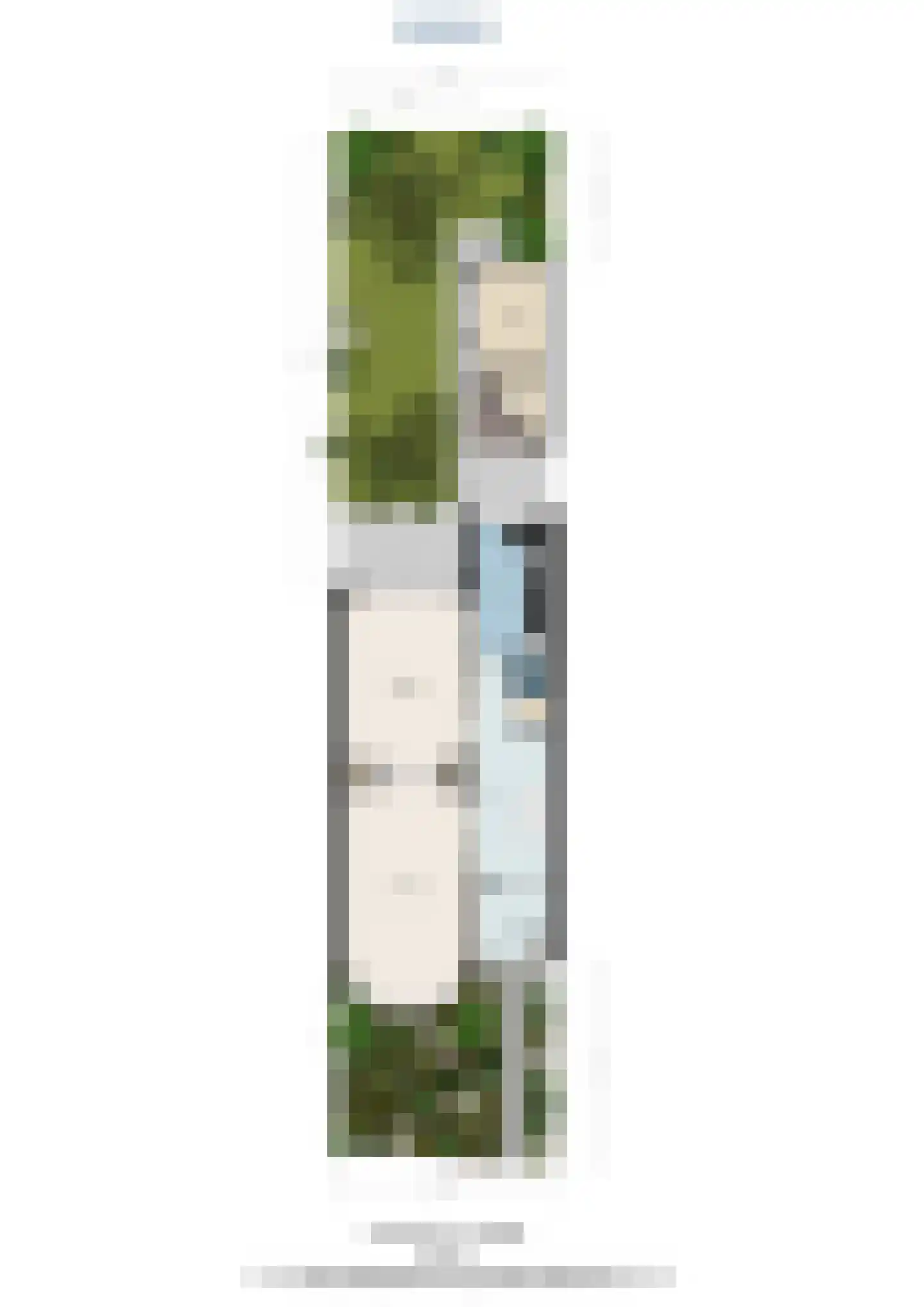 Julianastraat 15 Rijswijk thumbnail 37