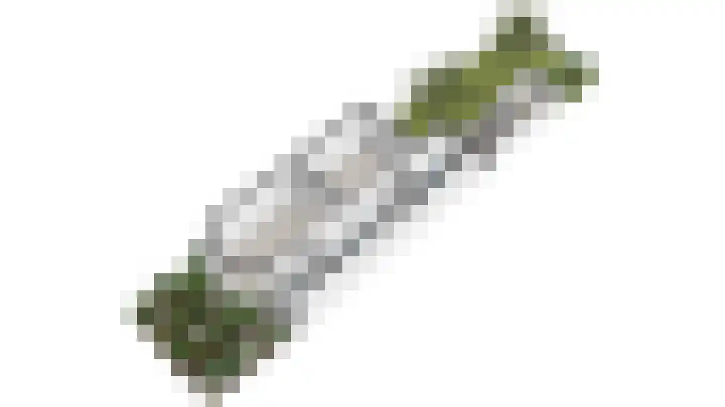Julianastraat 15 Rijswijk thumbnail 42