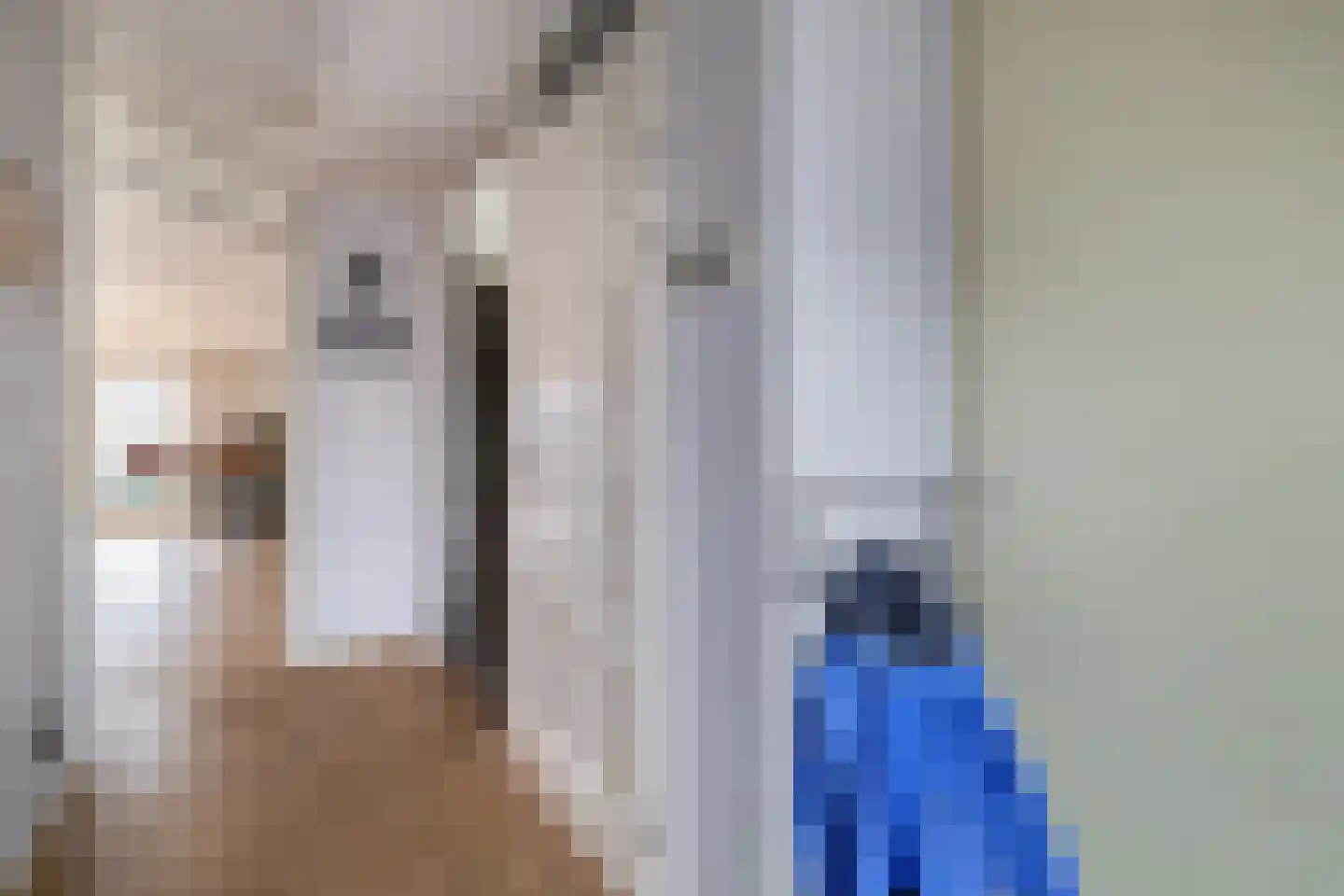 Julianastraat 158 Lisse thumbnail 11
