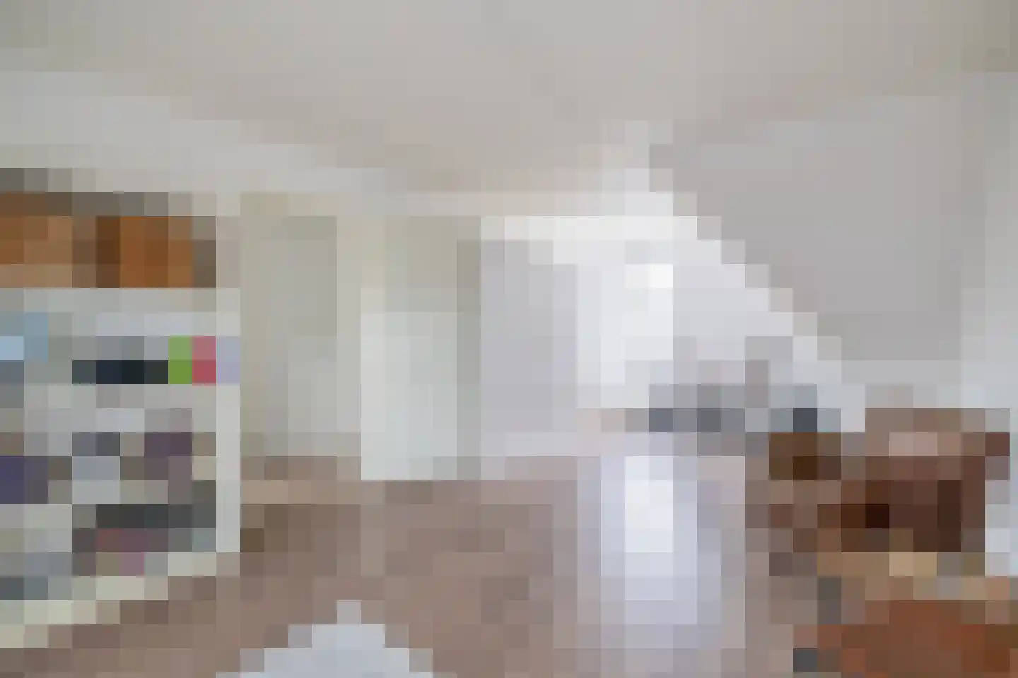 Julianastraat 158 Lisse thumbnail 22