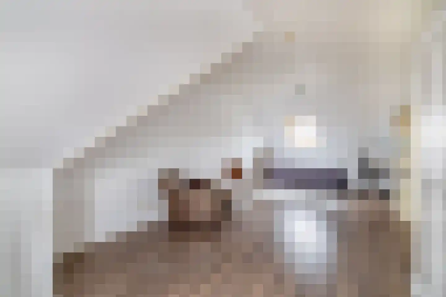 Julianastraat 158 Lisse thumbnail 24