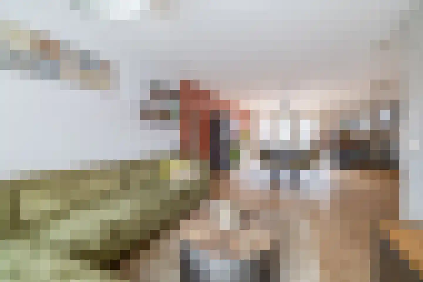 Julianastraat 158 Lisse thumbnail 7