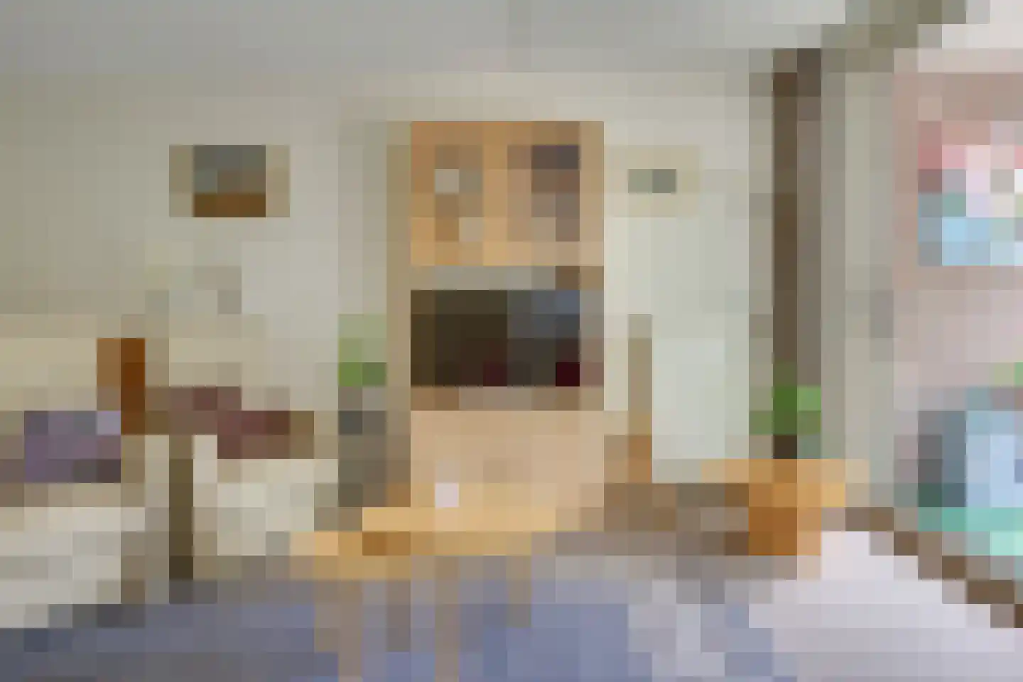 Julianastraat 16 B Diessen thumbnail 17