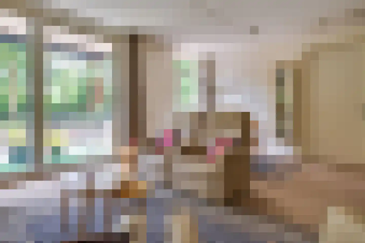 Julianastraat 16 B Diessen thumbnail 18