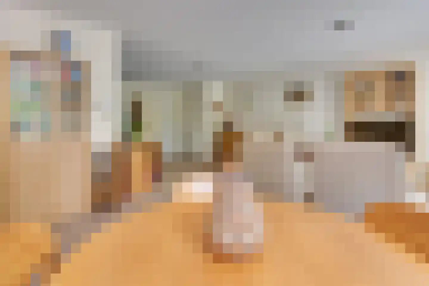 Julianastraat 16 B Diessen thumbnail 19