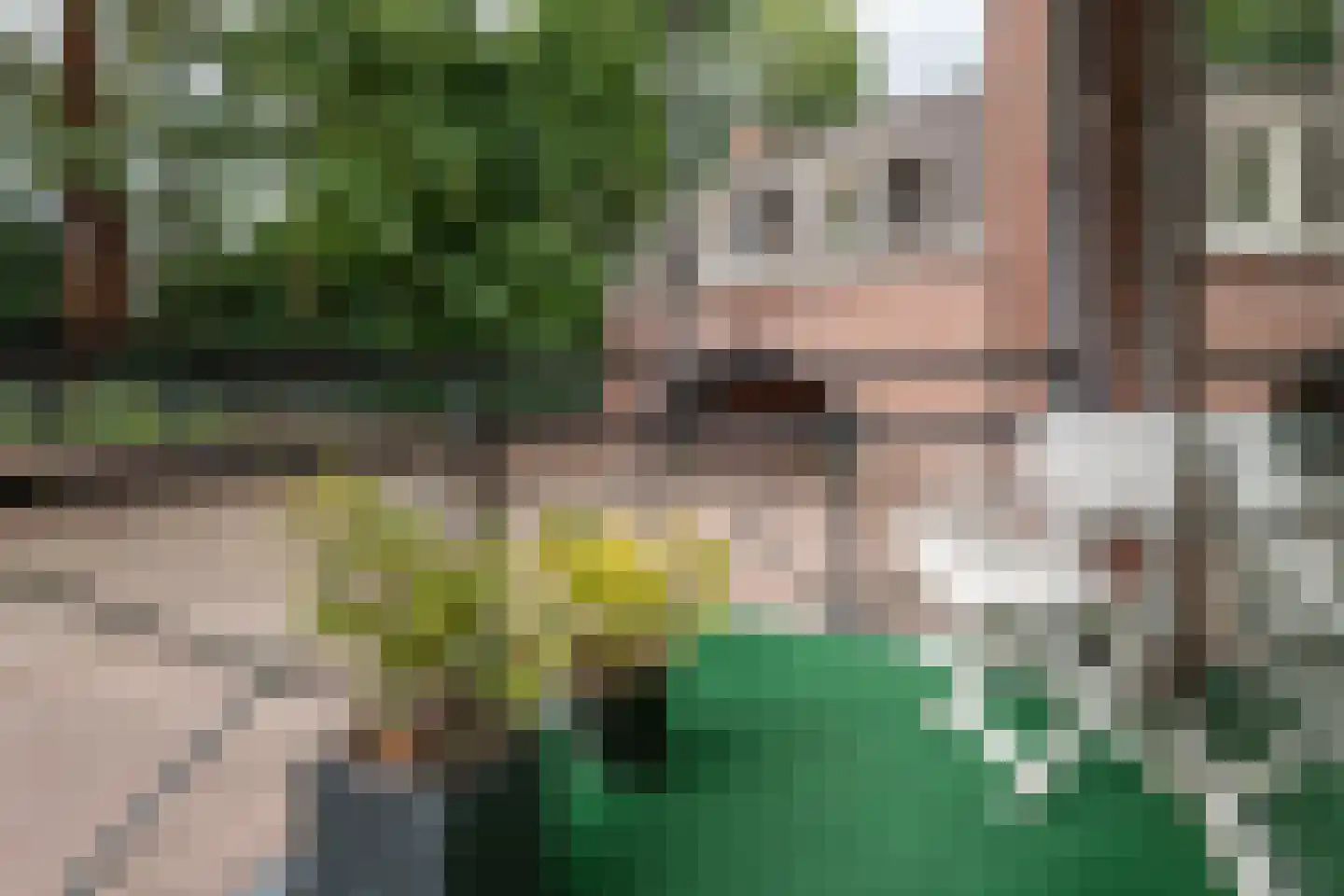 Julianastraat 16 B Diessen thumbnail 22