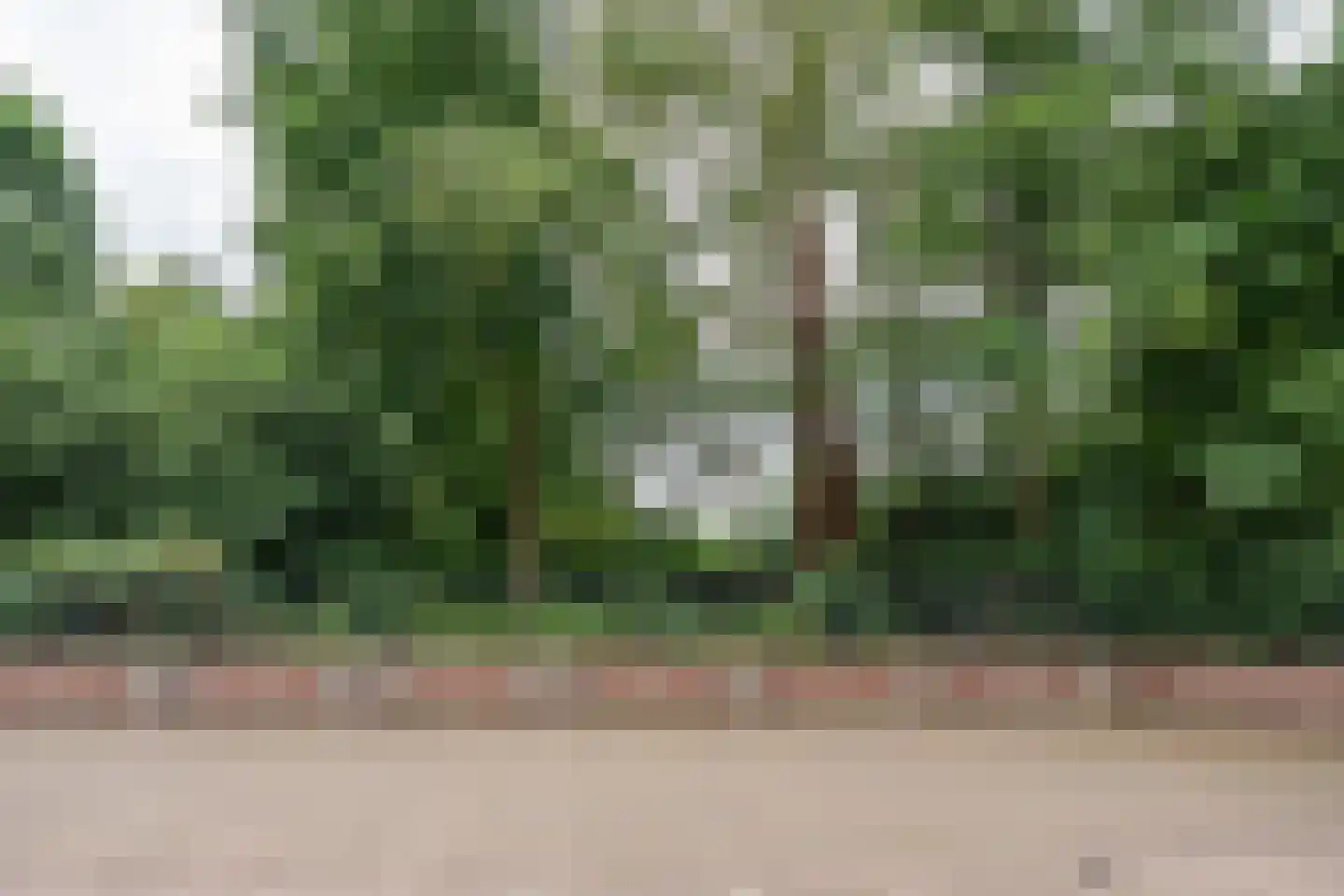 Julianastraat 16 B Diessen thumbnail 39