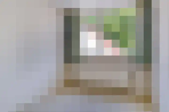 Julianastraat 16 Heinkenszand thumbnail 11