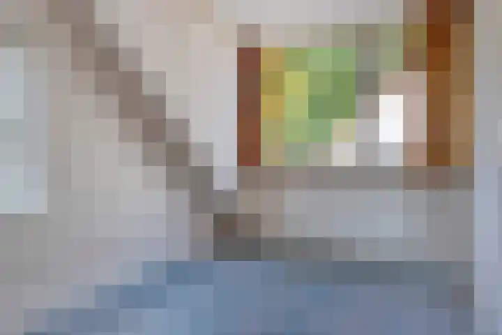 Julianastraat 16 Heinkenszand thumbnail 12