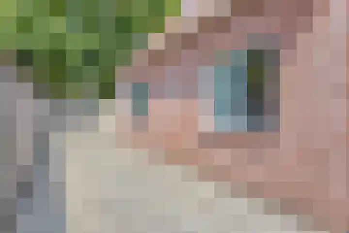 Julianastraat 16 Heinkenszand thumbnail 14
