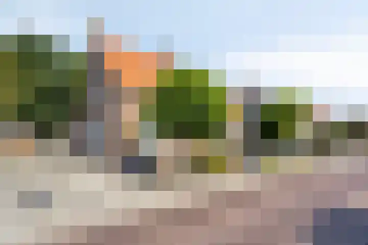 Julianastraat 16 Heinkenszand thumbnail 16