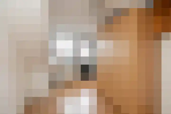Julianastraat 16 Hoogeveen thumbnail 34