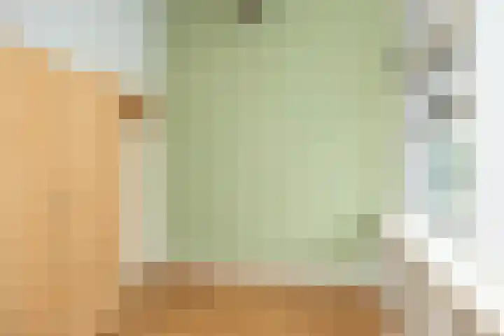 Julianastraat 16 Hoogeveen thumbnail 39