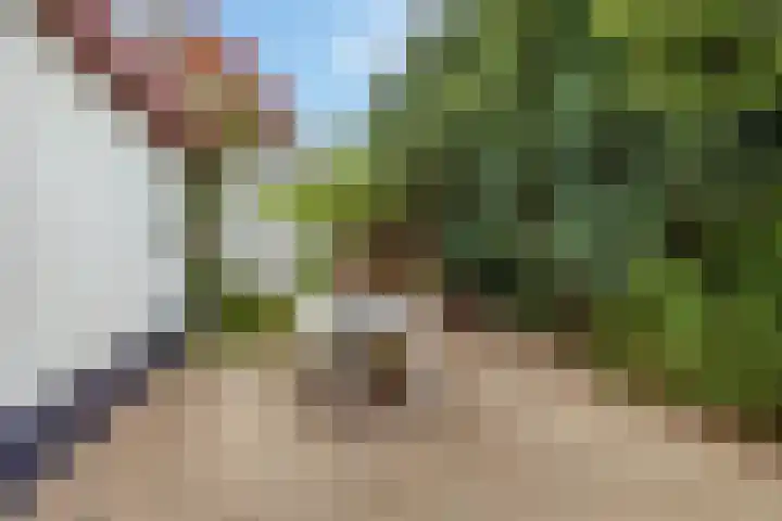 Julianastraat 16 Hoogeveen thumbnail 42