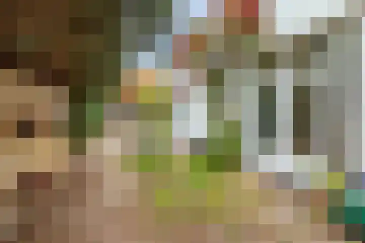 Julianastraat 16 Hoogeveen thumbnail 45