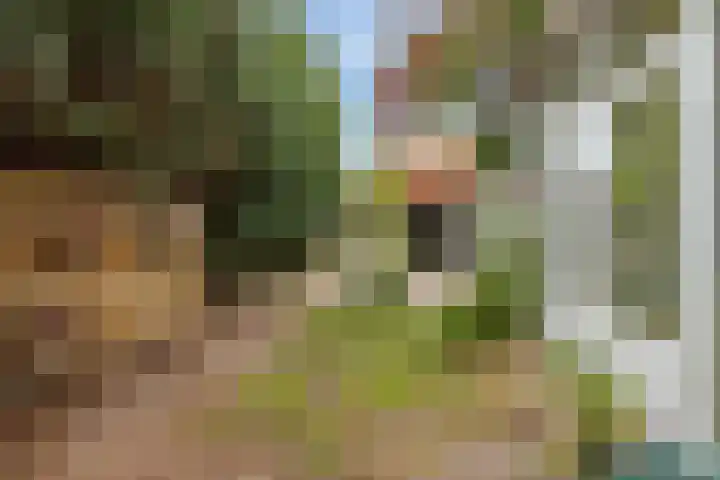 Julianastraat 16 Hoogeveen thumbnail 46