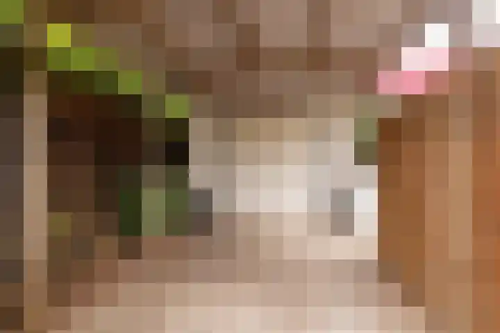 Julianastraat 16 Hoogeveen thumbnail 48