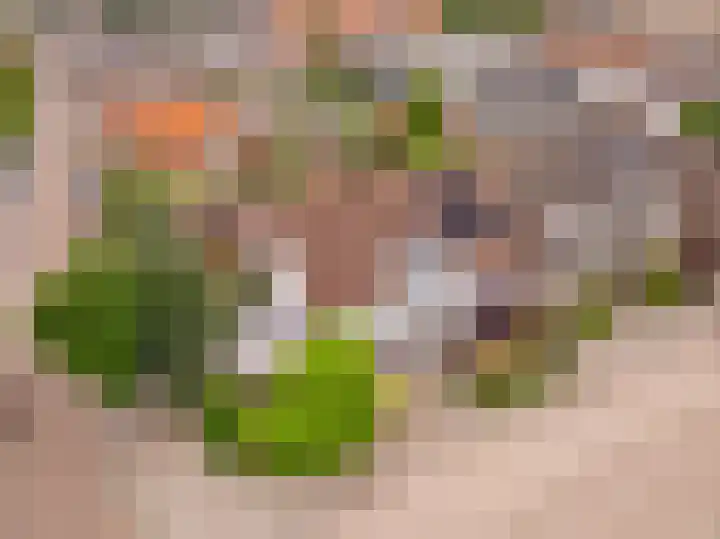 Julianastraat 16 Hoogeveen thumbnail 52