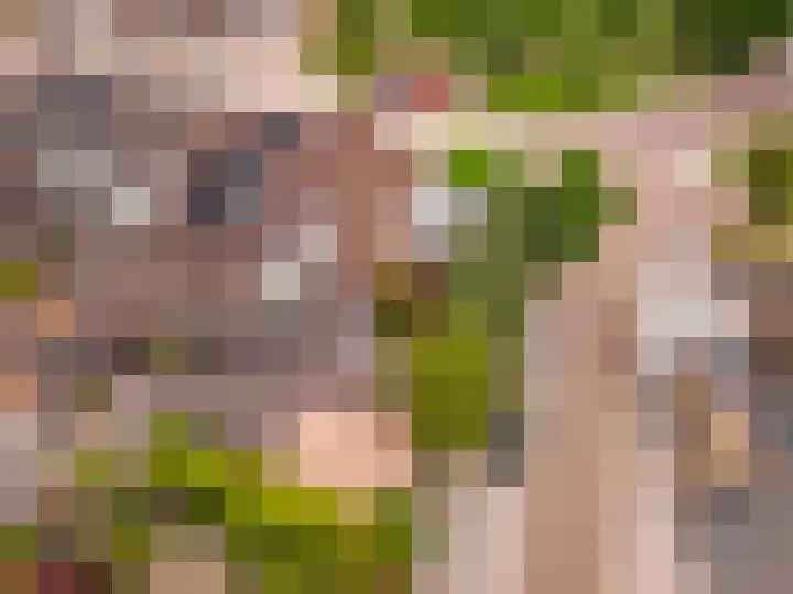 Julianastraat 16 Hoogeveen thumbnail 53