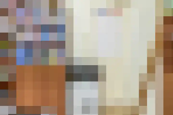 Julianastraat 16 Lekkerkerk thumbnail 25