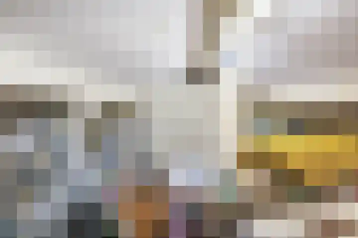 Julianastraat 16 Lekkerkerk thumbnail 32