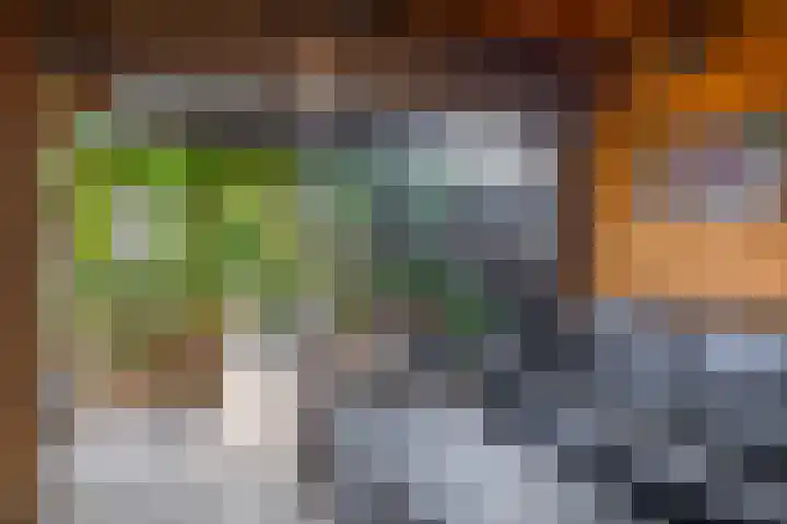 Julianastraat 16 Lekkerkerk thumbnail 33
