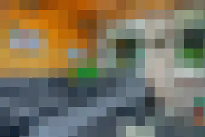 Julianastraat 16 Lekkerkerk thumbnail 34