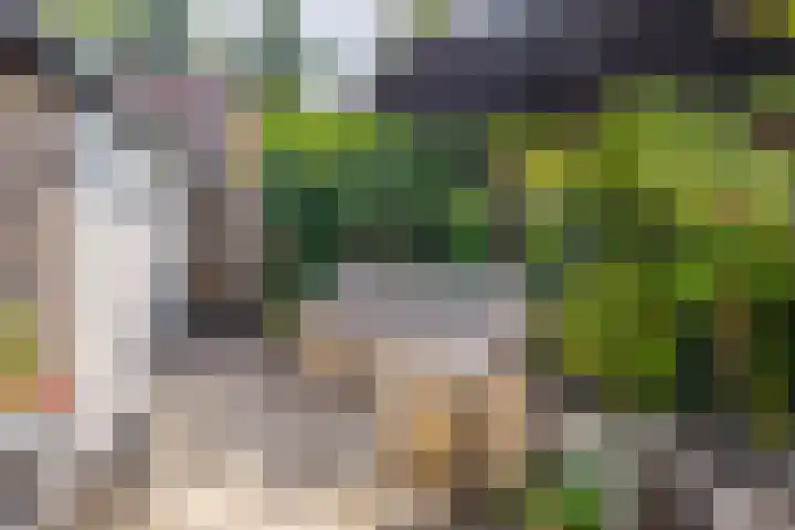 Julianastraat 16 Lekkerkerk thumbnail 35